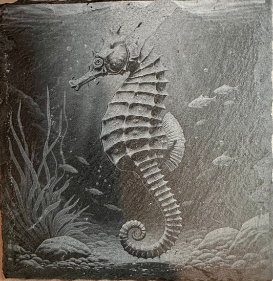 Laser engraved Slate Coaster with a detailed seahorse design