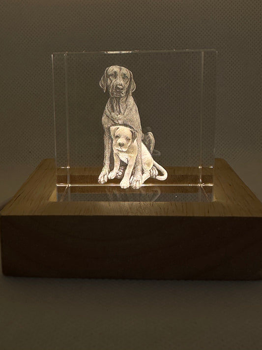 Internal K9 Crystal Engraving